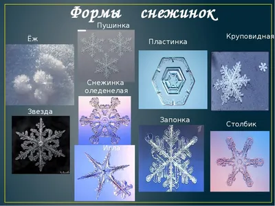 snowflakes | Снежинки, Поделки, Бумажные снежинки