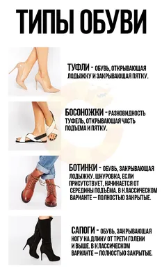 Все виды женской обуви | Стильный блог | Дзен