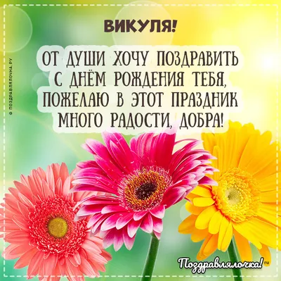 сднемрождениявика💞💞💞 #викториясднемрождения🎁🎂🥳 #сднемрожденияте... |  TikTok