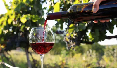 В Роскачестве объяснили, как понять, что вино не стоит пить - Российская  газета