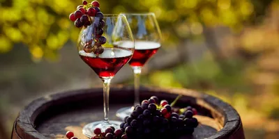 Купить вино Frontera, Concha y Toro, Cabernet Sauvignon 12% в Алматы за  3430 тенге с доставкой на дом или в организацию!
