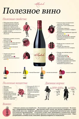 Чем отличается белое вино от красного? | Винный ресторан 9wines в  Санкт-Петербурге.