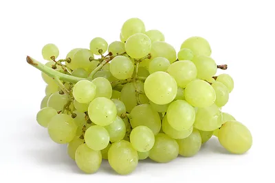 green #зеленый #aesthetic #эстетика #обои #grapes #виноград #wallpaper  #foundalighter | Fruit photography, Green grapes, Grapes