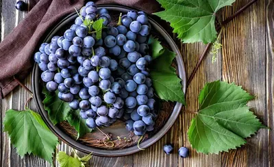 Обои виноград, grapes, 8k, Еда #15356 | Grapes, Blood thinning foods,  Grapes benefits