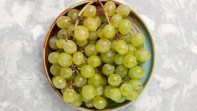 Как вырастить виноград на своем участке: правила и советы – блог  интернет-магазина Порядок.ру