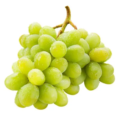 4 сорта винограда без косточек, которые от чистого сердца советую к  выращиванию | посуДАЧИм об огороде | Дзен