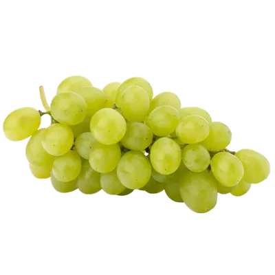 виноград — Викисловарь