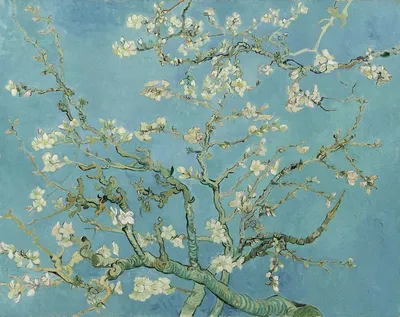 Цветущий миндаль (картина) — Винсент Ван Гог