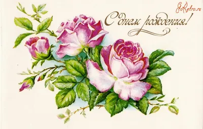 Открытка \"С Днем рождения!\", Цветочная мастерская 25 роз Тюмень
