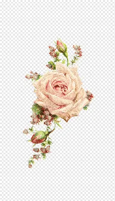 Пазл «Винтажные цветы» из 286 элементов | Собрать онлайн пазл №191805