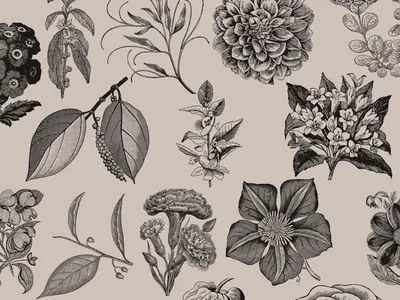 Atlas of Flowers - Vintage Botanical Art Set - Graphic Goods