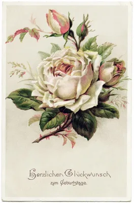 heart shaped rose bouquet, Romantic heart vignette made of vintage flowers  and leaves of roses in gentle retro style watercolor painting, PNG  transparent background, generative AI. 22245645 PNG
