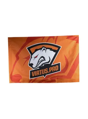 Virtus.pro launches a roster for Escape from Tarkov: Arena | Virtus.pro