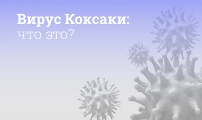 В Твери массово распространяется вирус Коксаки, а врачи пишут - ОРВИ - МК  Тверь