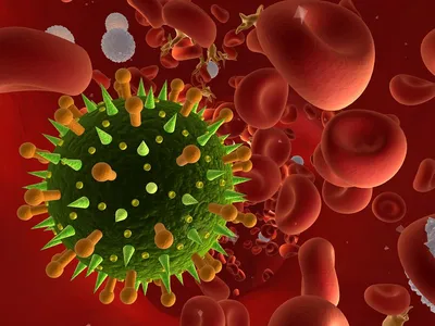 Вирус иммунодефицита человека существует Нижневартовск 01.12.2021