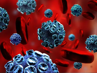 Вирусы и бактерии - факторы риска развития онкологических заболеваний