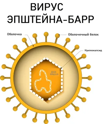 Вирус, который сломал планету. Почему SARS-CoV-2 такой особенный и что нам  с ним делать, Ирина Якутенко – скачать книгу fb2, epub, pdf на ЛитРес
