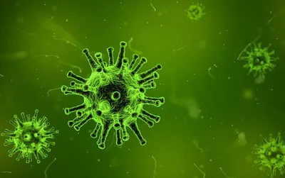 Вирус COVID-19: реальная картина и фейковые новости | ДГТУ