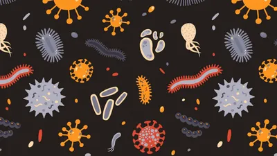 Про вирусы и бактерии: когда действительно нужен антибиотик | МЕДЦЕНТР в  Днепре