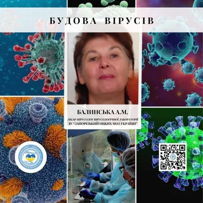 ЯКА БУДОВА ВІРУСІВ? – ДУ \"ЗАПОРІЗЬКИЙ ОЦКПХ МОЗ\"