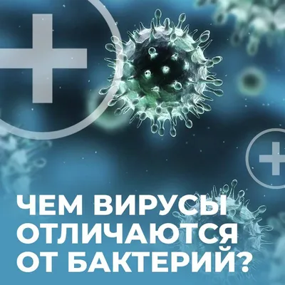 Чем вирусы отличаются от бактерий? - Блог Компании Сателлит | Москва