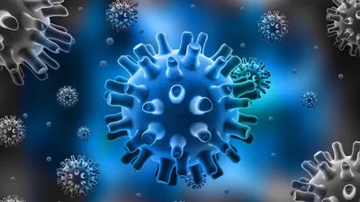 Вирусные гепатиты (Viral Hepatisis) - причины появления, симптомы  заболевания, диагностика и способы лечения