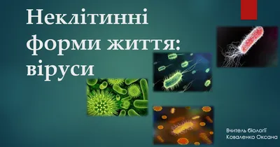 Закрита кришка не зупинила віруси з унітаза - nauka.ua | Новини науки