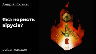 Охота на вирус купить в интернет магазине с доставкой по Украине | MYplay