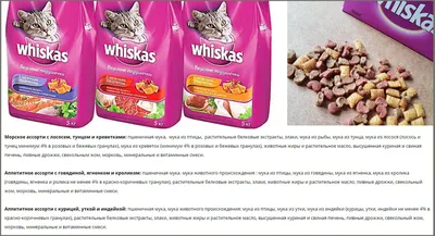 Консервы Whiskas для котят \"Рагу с курицей\" - «Вискас для котят, которым  даже бездомного котейку кормить страшно, не то что своего! » | отзывы