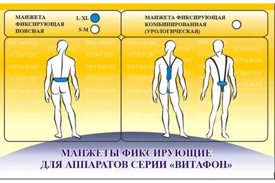 Фиксирующие манжеты к Витафону купить в интернет магазине Витаберри