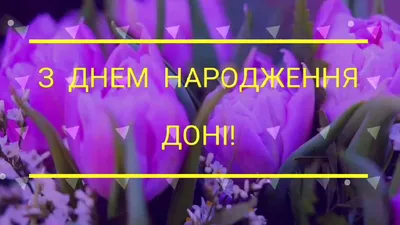 Дорогі наші іменинниці, щиро вас вітаємо!! 🌼🌼🌼 Віра людей від злості  рятує, Надія нашу душу зберігає. Мати їх Софія всіх захищає, Ну, а Любов на  крилах лети…