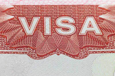 Шенгенская виза в Европу: как самостоятельно получить разрешение на въезд в  ЕС