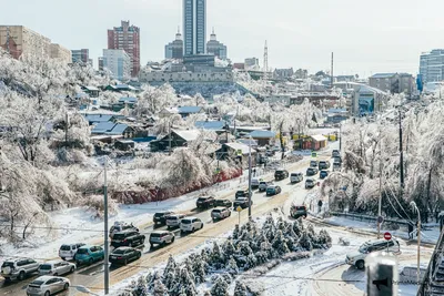 Владивосток - 2050: пространственное развитие