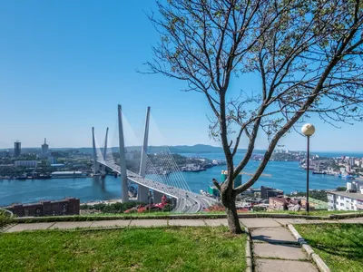 Отпуск во Владивостоке: необычная еда, мосты, красивая природа и много  машин - vtomske.ru