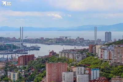 Климат Владивостока - инфо для ПМЖшников и туристос | Пикабу