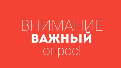 Внимание, опрос для социальных предпринимателей | Социальный бизнес | Дзен