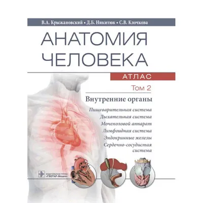Анатомия человека. Костная, мышечная, кровеносная системы и внутренние  органы (плакат в тубусе) «Читай-город»