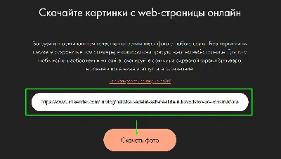 Как должна выглядеть фотография в резюме — Work.ua