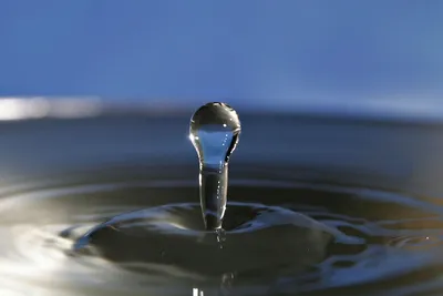 Вода — польза и вред для очищения организма - УЗ «Гродненская  университетская клиника»