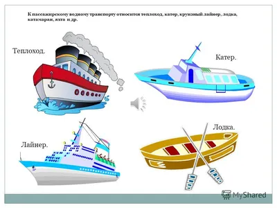 Водный общественный транспорт в мире: аквабусы, вапоретто и кайто |  Sobaka.ru