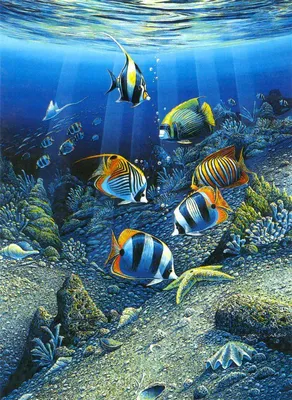 подводный мир | Papel de parede de peixe, Criaturas marinhas, Fundos de  aquário