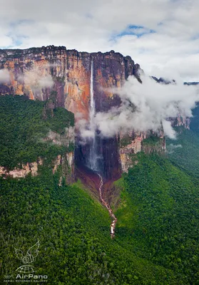 Водопад Анхель, Венесуэла | Angel falls venezuela, Waterfall, Breathtaking  places