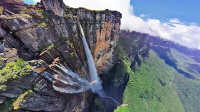 Водопад Анхель (Венесуэла): фото и отзывы — НГС.ТУРИЗМ