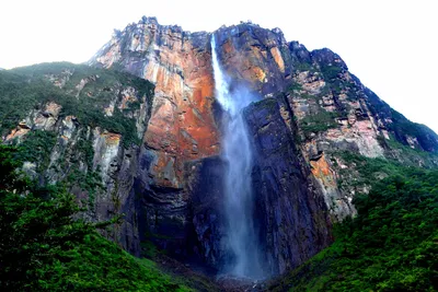Водопад Анхель — стоковые фотографии и другие картинки Водопад Анхель - Водопад  Анхель, Венесуэла, Канайма - iStock