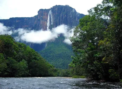 Водопад Анхель (Salto Angel), Самый Высокий Водопад В Мире (978 М),  Венесуэла. Покрытый В Облаках Во Время Сезона Дождей. Фотография, картинки,  изображения и сток-фотография без роялти. Image 62266686