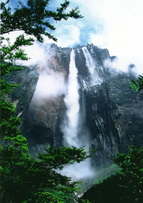 beloguzheva - Водопад Анхель, воды которого молниеносно бегут по реке, а  затем стремительно срываются вниз,превращаясь в прекрасный туман, так и не  достигнув земли. Удивительно,но воды самого большого водопада в мире почти  не