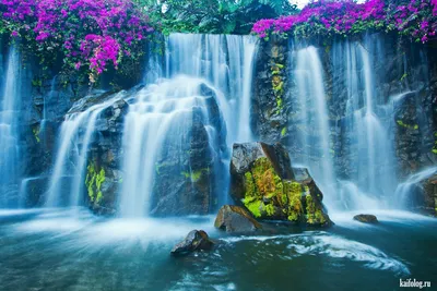 ✈ Три самых удивительных водопада, которые текут вверх