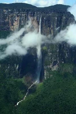 Кайетур: самый высокий водопад в мире (почти) — Teletype