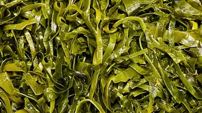 Зеленые водоросли стоковое фото. изображение насчитывающей конец - 144383796