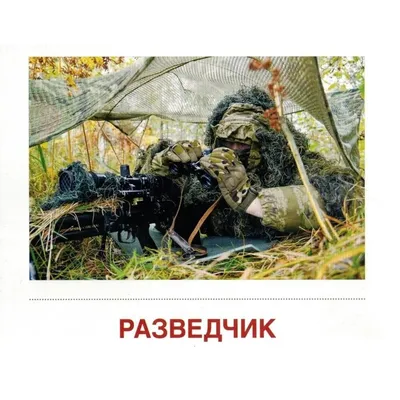 ТМ Империя поздравлений Плакат военные профессии для детского сада школы 6  шт